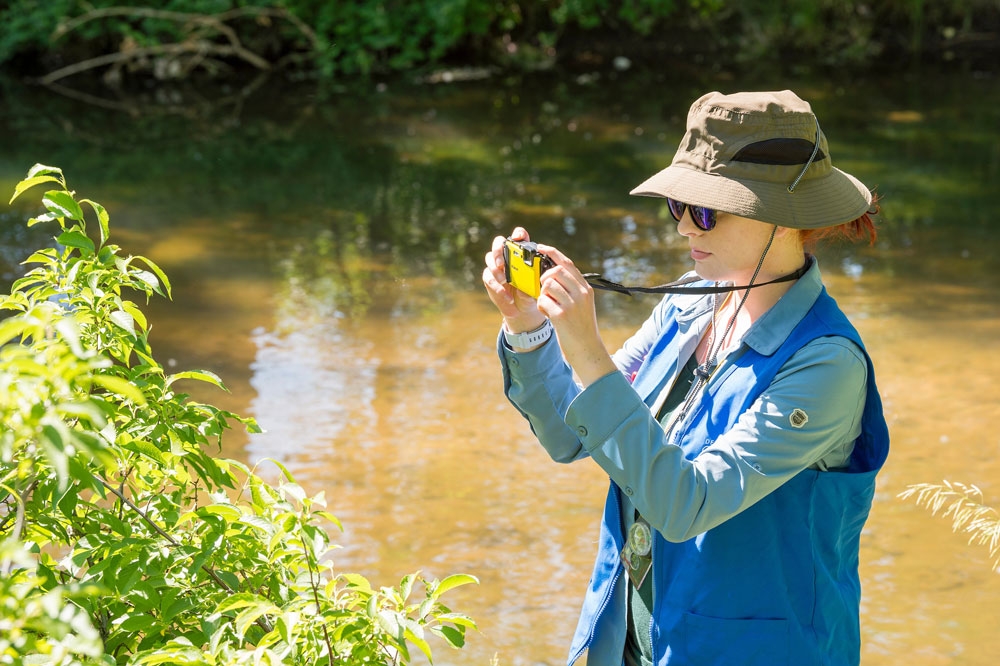 Volunteer capturing a photo of a plant for bioblitz. 