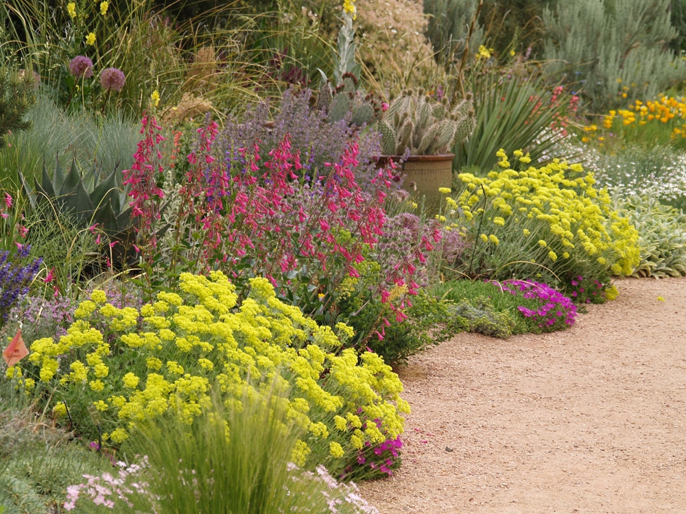 Roads Water-Smart Garden