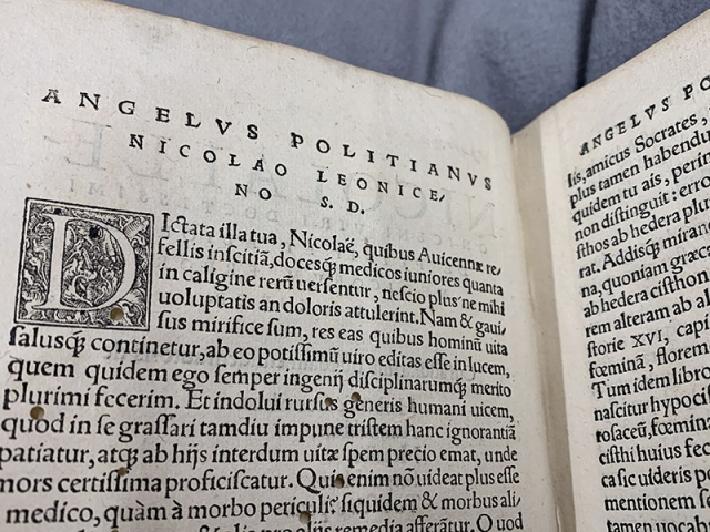 Niccolò Leoniceno pages