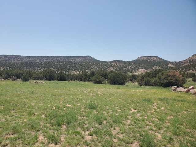 More grassland restoration at Chatfield Farms