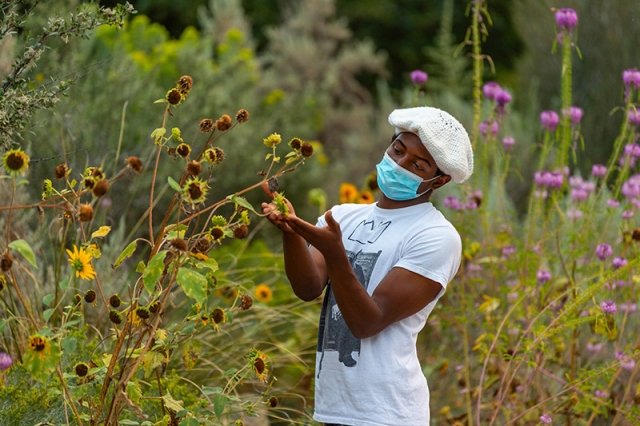 evening of healing with flower
