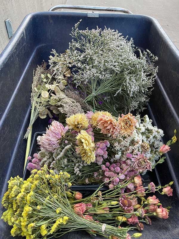dried flowers in wheelbarrow