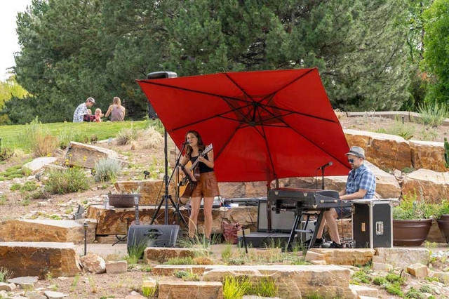 Musician at Evenings al Fresco
