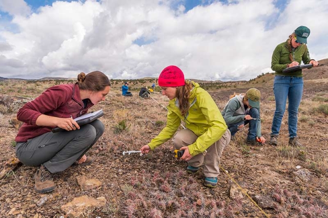 scientists in the field collecting rare cactus data