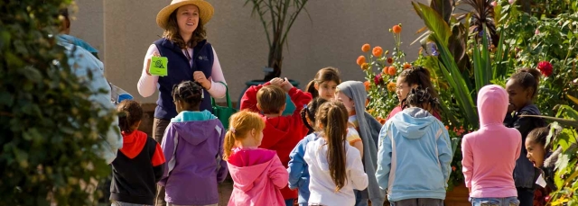 Scout and Community Group Programs banner