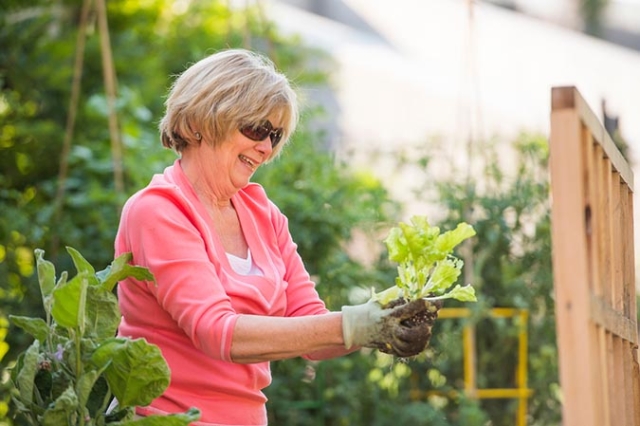 woman with seedling