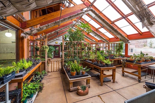 morrison discovery center