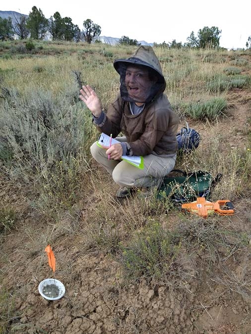 Megan Clark documenting ant nest diversity and abundance.