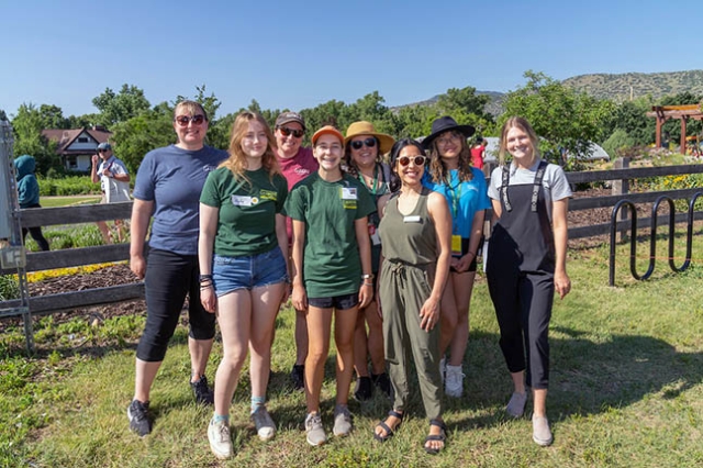 Volunteer Services at Lavender Festival