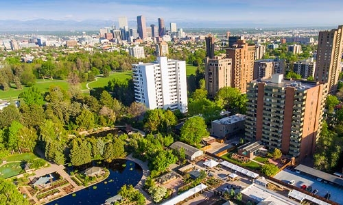 tree canopy thumbnail