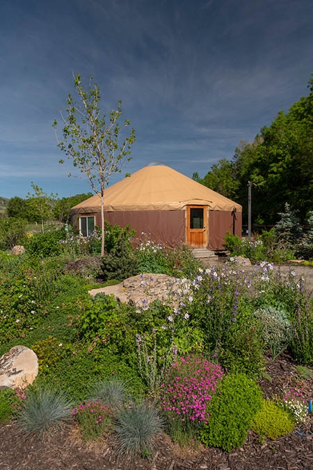 xeriscape garden in front of yurt