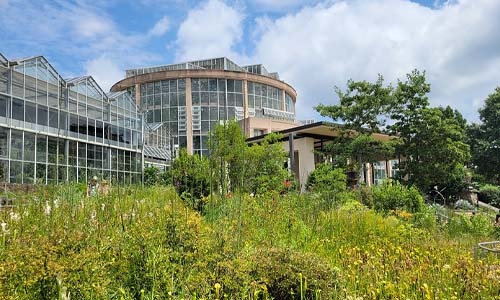 Conservation Garden thumbnail