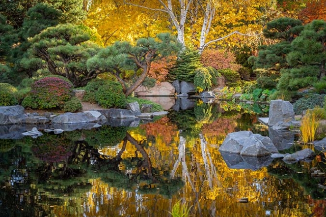 An autumn Japanese Garden