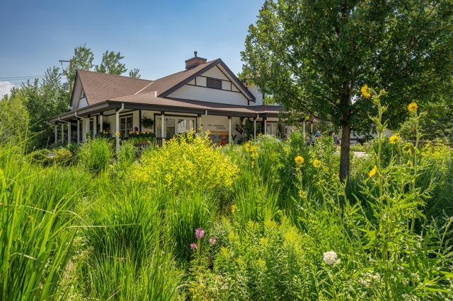 Prairie garden in the foreground with a building in the background