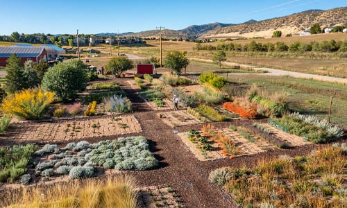 Layout of the Plant Select® trial garden at Chatfield Farms