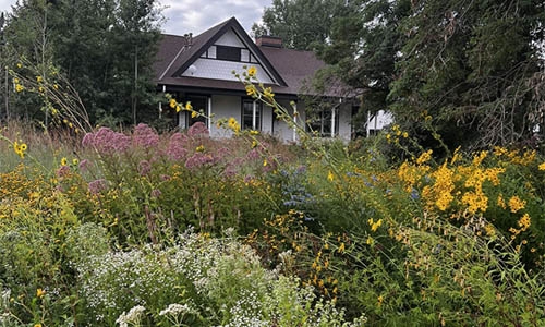 house with prairie garden in front