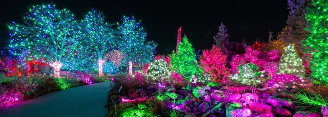 Bright multi-colored holiday lights on trees and bushes outside at night in the background with a walking path in the foreground