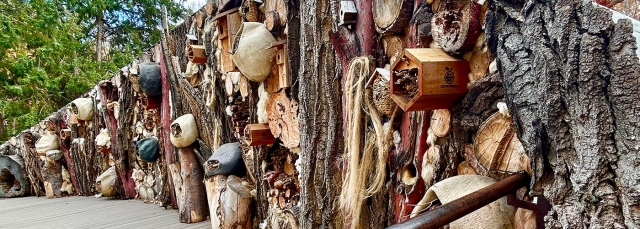 The Cocoon structure