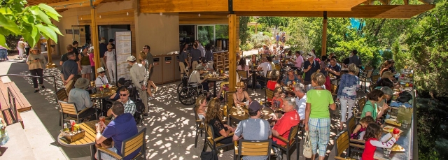 People sitting outside at tables in dappled share, eating at a restaurant