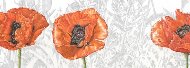 School of Botanical Art & Illustration