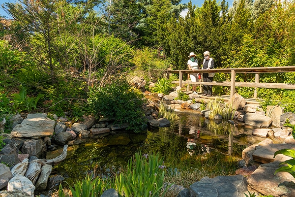 visitors on the bridge
