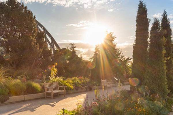 Summer in the Gardens