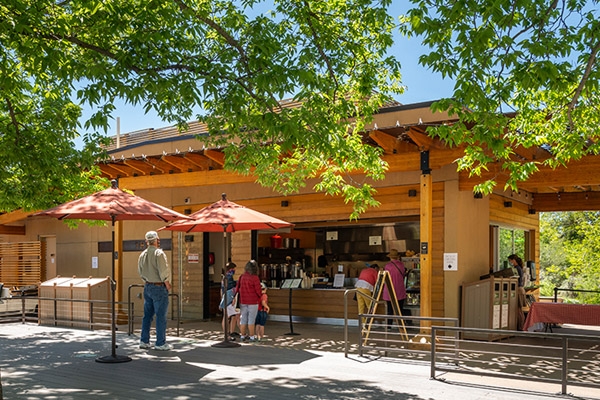 the hive garden bistro