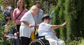 therapeutic horticulture