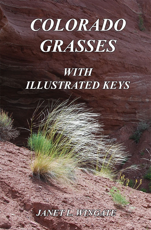Colorado Grasses