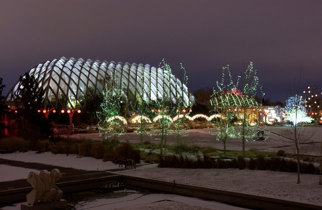 2004 cottonwood border