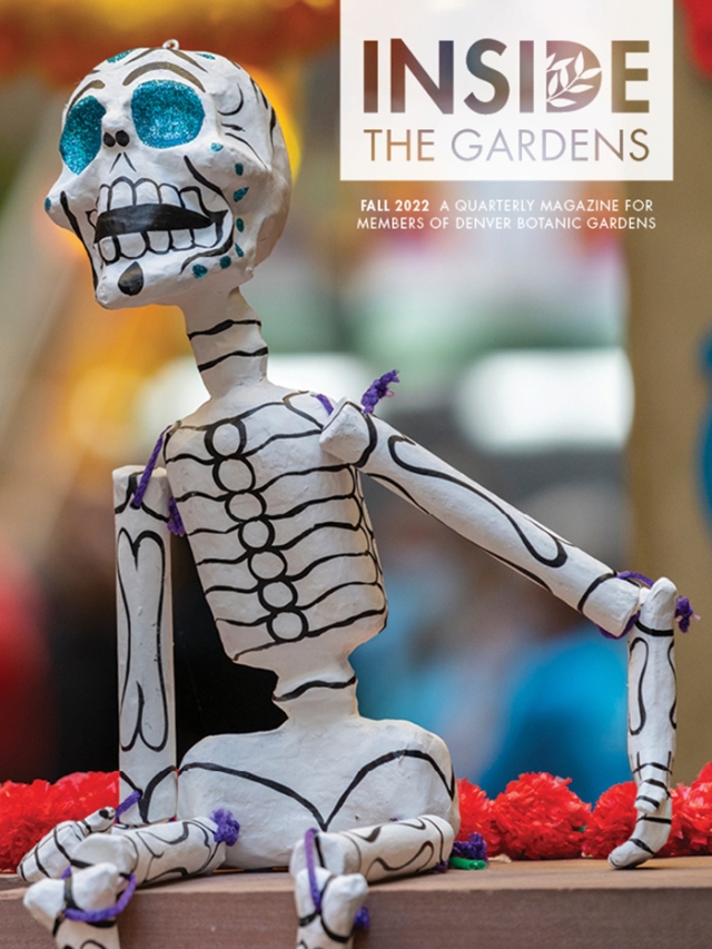 Inside The Gardens Fall 2022