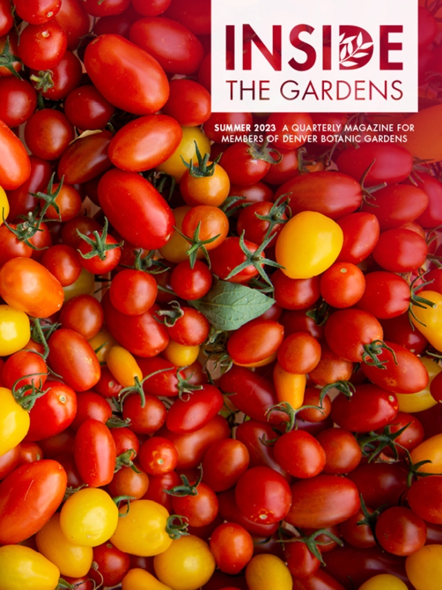 2023 Summer Magazine