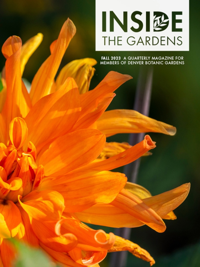 Fall 2023: Inside the Gardens