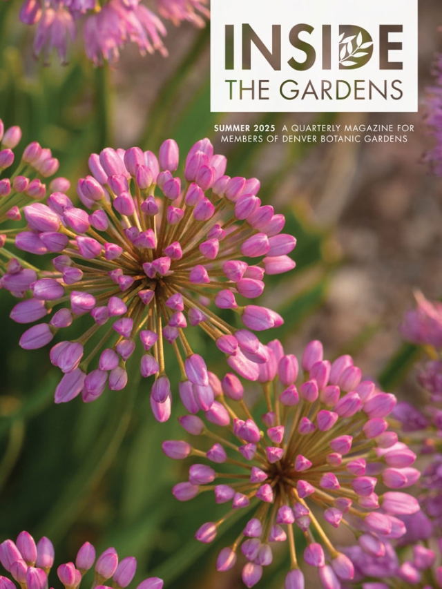 Inside the Gardens Summer 2025